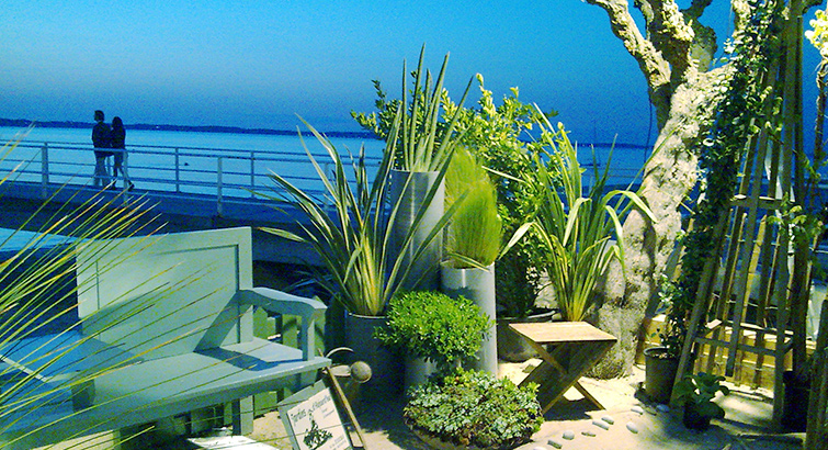 jardins paysagés Bordeaux Mérignac Arcachon