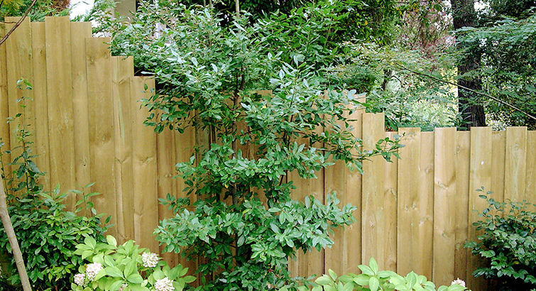 Palissade bois clôture bois bordeaux arcachon