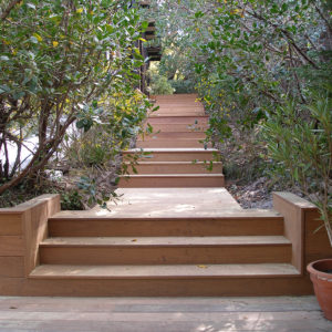 Escalier bois et plateaux bois, terrasse bois