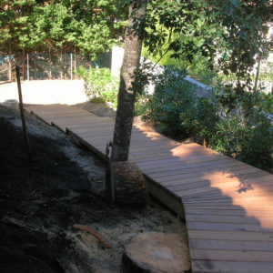 Chemin d'accès bois