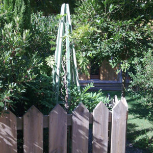 Clôture bois et jardin paysagé